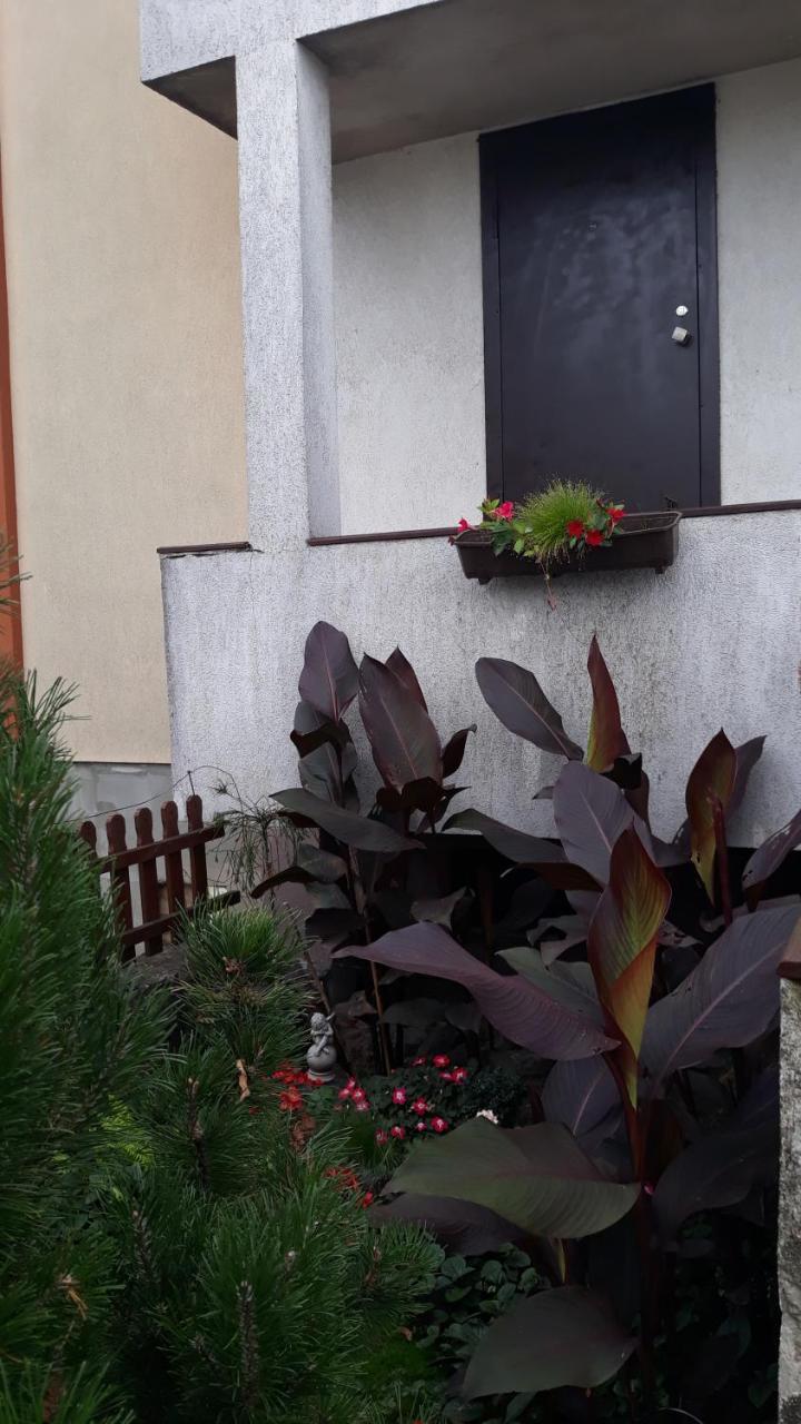 Sauliaus Apartamentai Паневежис Екстер'єр фото